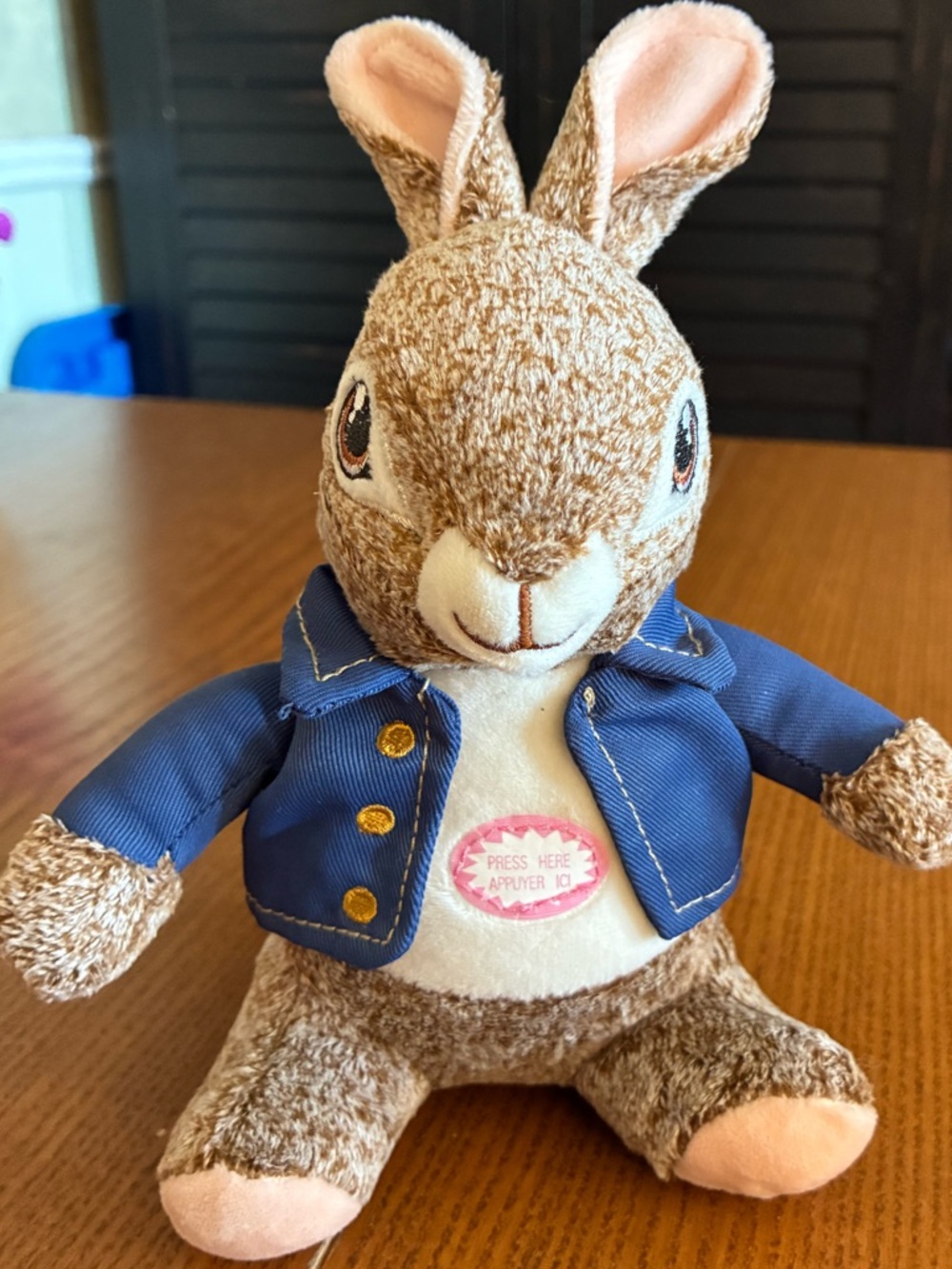 Peter Rabbit Talking Plush